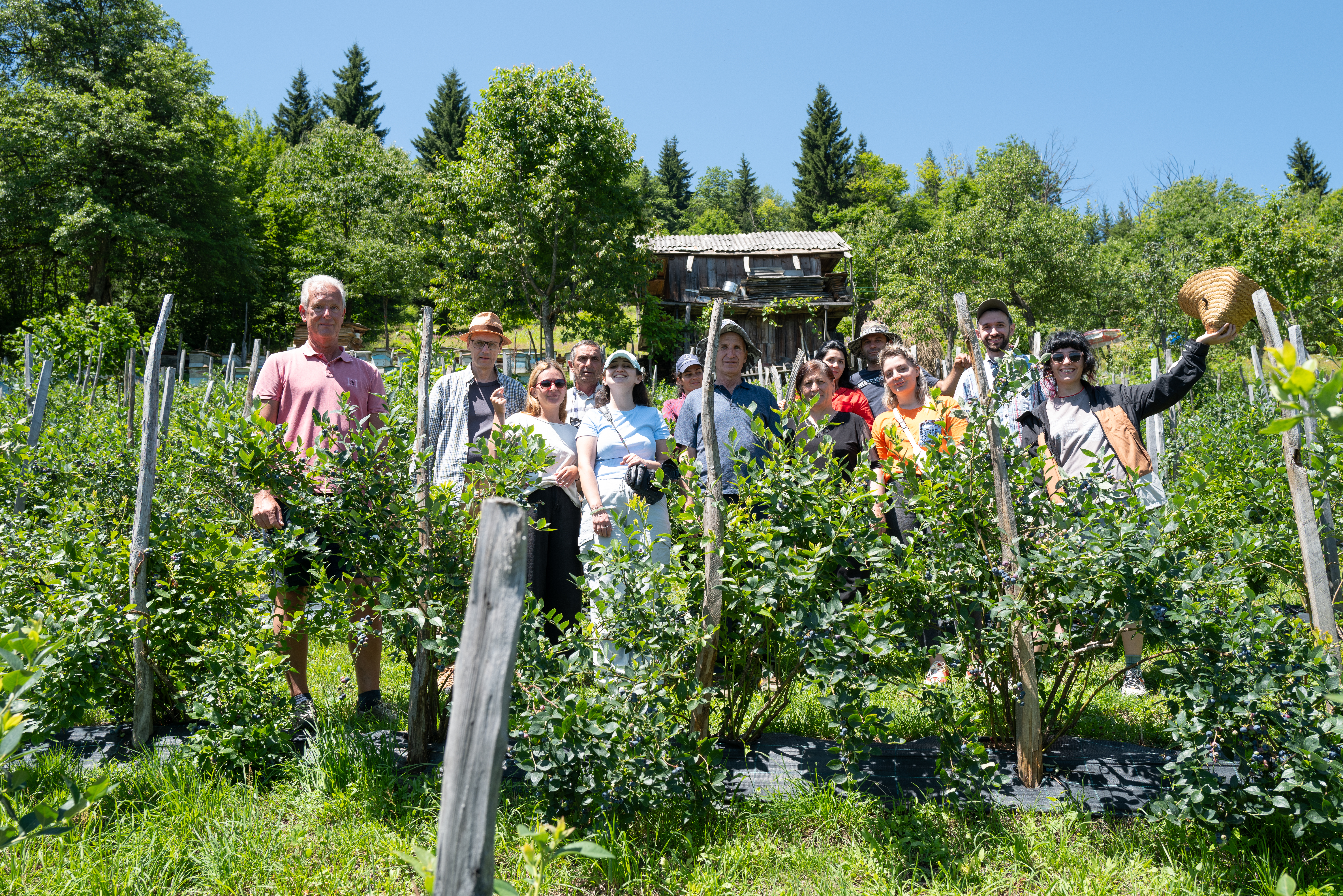 ჩვენ შესახებ